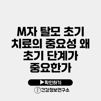 M자 탈모 초기 치료의 중요성 왜 초기 단계가 중요한가?