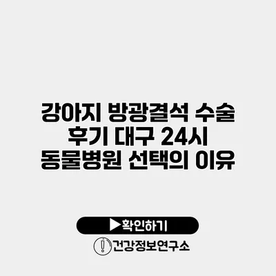 강아지 방광결석 수술 후기 대구 24시 동물병원 선택의 이유