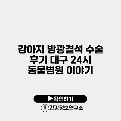 강아지 방광결석 수술 후기 대구 24시 동물병원 이야기