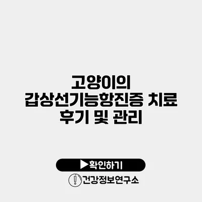 고양이의 갑상선기능항진증 치료 후기 및 관리