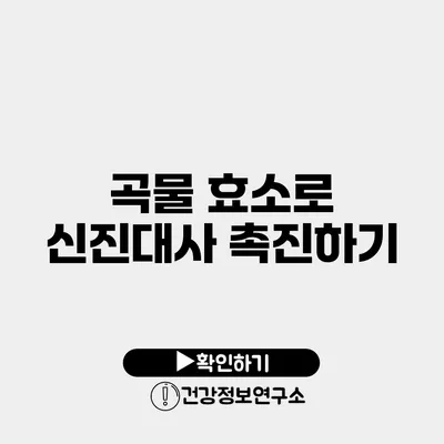 곡물 효소로 신진대사 촉진하기