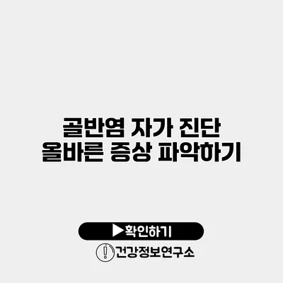 골반염 자가 진단 올바른 증상 파악하기