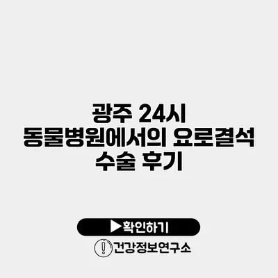 광주 24시 동물병원에서의 요로결석 수술 후기