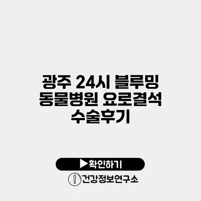 광주 24시 블루밍 동물병원 요로결석 수술후기