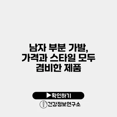 남자 부분 가발, 가격과 스타일 모두 겸비한 제품