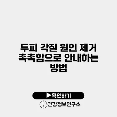 두피 각질 원인 제거 촉촉함으로 안내하는 방법