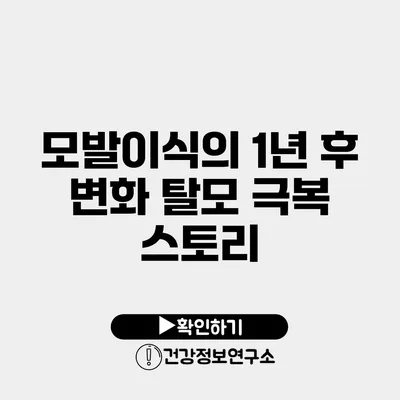 모발이식의 1년 후 변화 탈모 극복 스토리