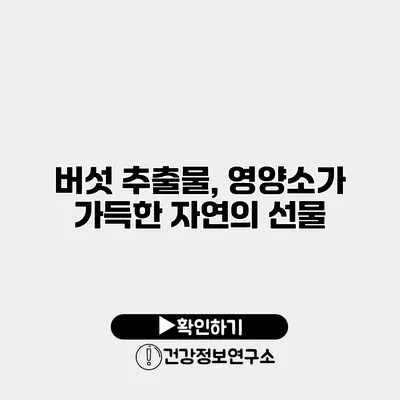 버섯 추출물, 영양소가 가득한 자연의 선물