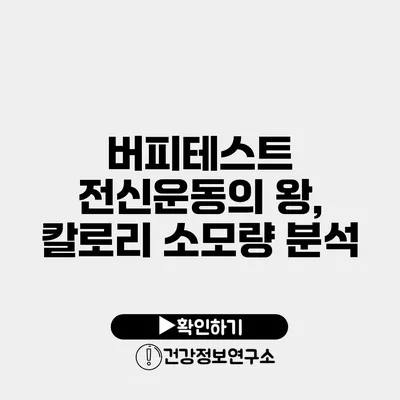 버피테스트 전신운동의 왕, 칼로리 소모량 분석
