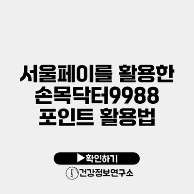 서울페이를 활용한 손목닥터9988 포인트 활용법