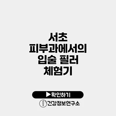 서초 피부과에서의 입술 필러 체험기