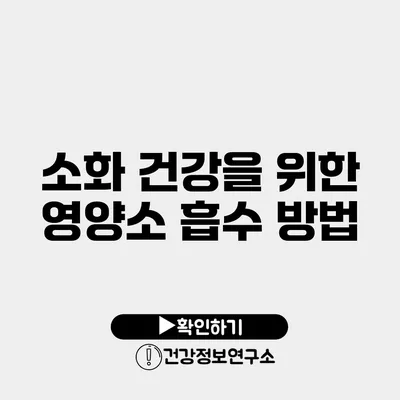 소화 건강을 위한 영양소 흡수 방법