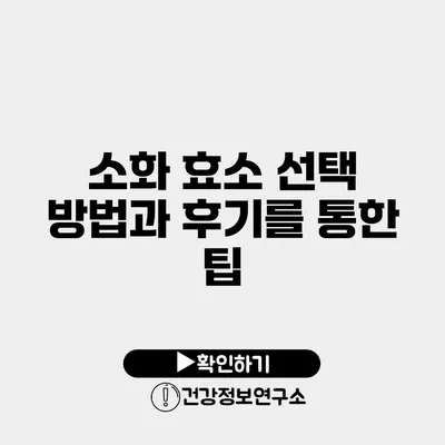 소화 효소 선택 방법과 후기를 통한 팁