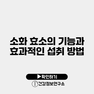 소화 효소의 기능과 효과적인 섭취 방법