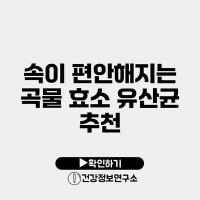 속이 편안해지는 곡물 효소 유산균 추천