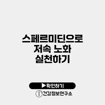 스페르미딘으로 저속 노화 실천하기