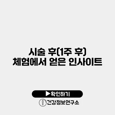 시술 후(1주 후) 체험에서 얻은 인사이트