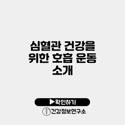 심혈관 건강을 위한 호흡 운동 소개