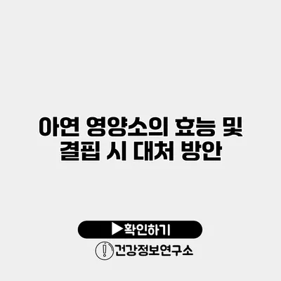 아연 영양소의 효능 및 결핍 시 대처 방안