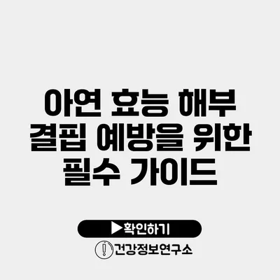 아연 효능 해부 결핍 예방을 위한 필수 가이드