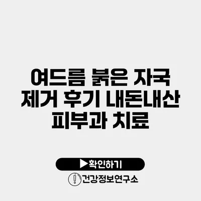 여드름 붉은 자국 제거 후기 내돈내산 피부과 치료