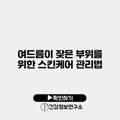여드름이 잦은 부위를 위한 스킨케어 관리법