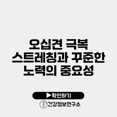 오십견 극복 스트레칭과 꾸준한 노력의 중요성