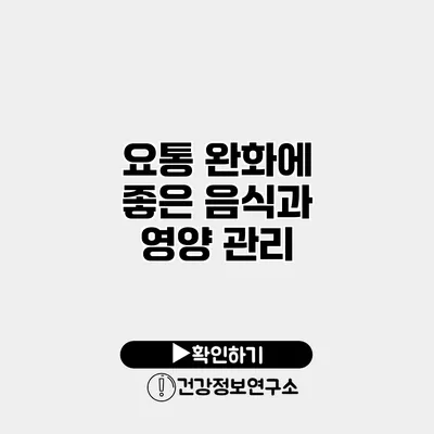 요통 완화에 좋은 음식과 영양 관리