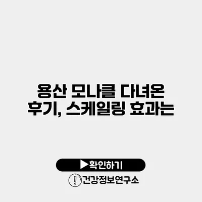 용산 모나클 다녀온 후기, 스케일링 효과는?