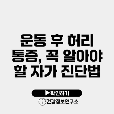 운동 후 허리 통증, 꼭 알아야 할 자가 진단법