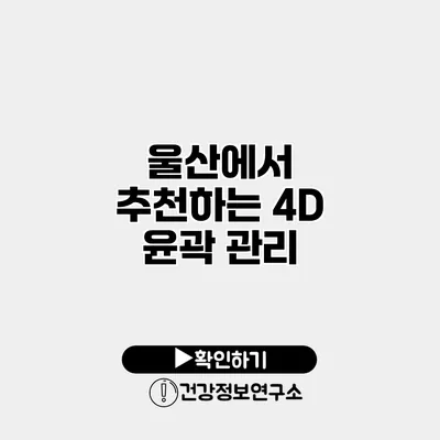 울산에서 추천하는 4D 윤곽 관리