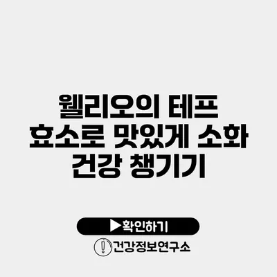 웰리오의 테프 효소로 맛있게 소화 건강 챙기기