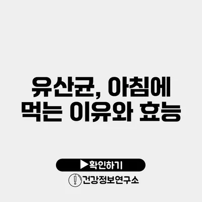 유산균, 아침에 먹는 이유와 효능