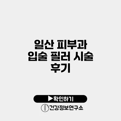 일산 피부과 입술 필러 시술 후기