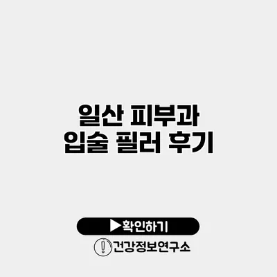 일산 피부과 입술 필러 후기