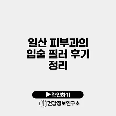 일산 피부과의 입술 필러 후기 정리