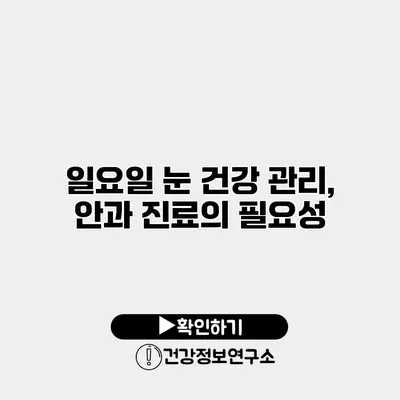 일요일 눈 건강 관리, 안과 진료의 필요성