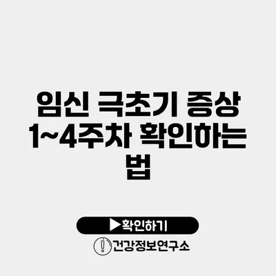 임신 극초기 증상 1~4주차 확인하는 법