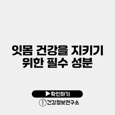 잇몸 건강을 지키기 위한 필수 성분