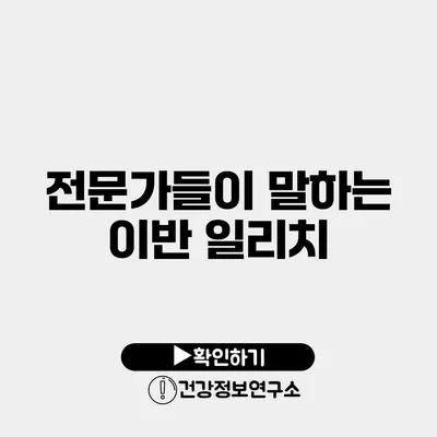 전문가들이 말하는 이반 일리치