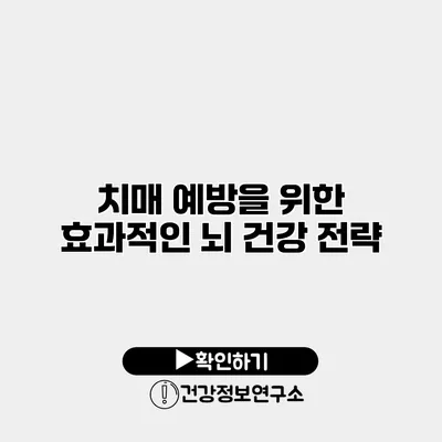 치매 예방을 위한 효과적인 뇌 건강 전략