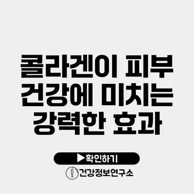 콜라겐이 피부 건강에 미치는 강력한 효과