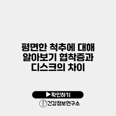 평면한 척추에 대해 알아보기 협착증과 디스크의 차이