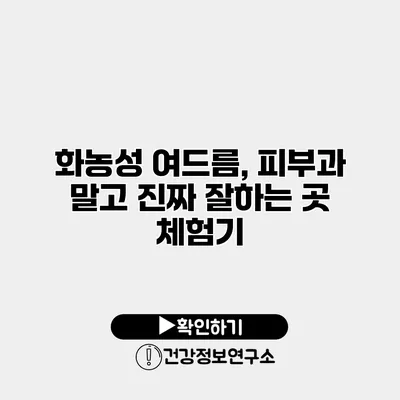 화농성 여드름, 피부과 말고 진짜 잘하는 곳 체험기