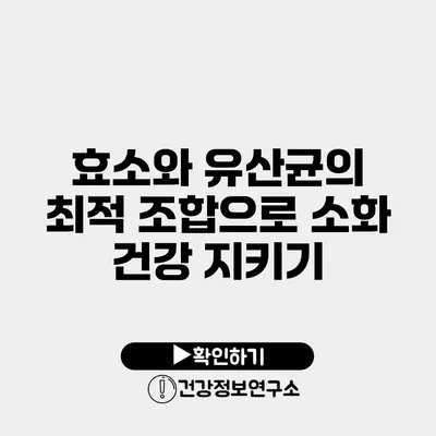 효소와 유산균의 최적 조합으로 소화 건강 지키기