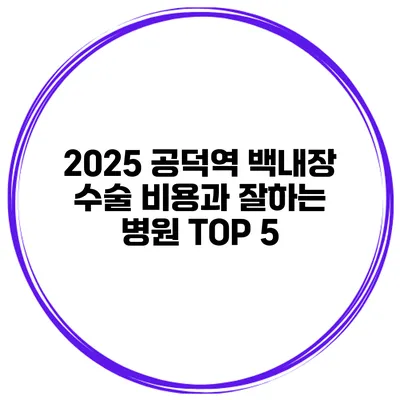 2025 공덕역 백내장 수술 비용과 잘하는 병원 TOP 5