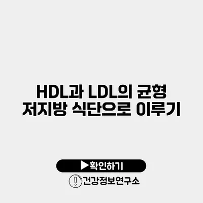 HDL과 LDL의 균형 저지방 식단으로 이루기