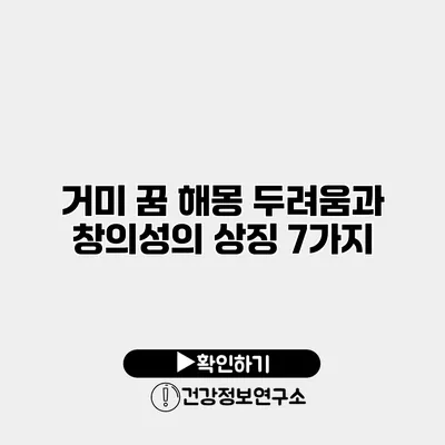 거미 꿈 해몽 두려움과 창의성의 상징 7가지