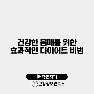 건강한 몸매를 위한 효과적인 다이어트 비법