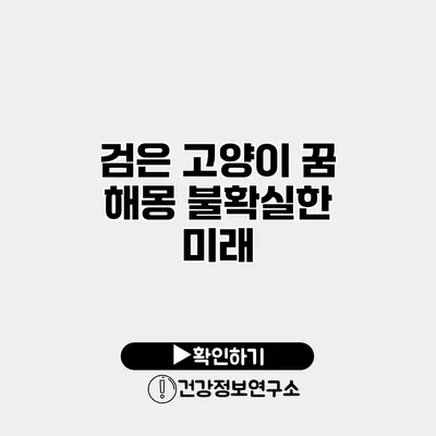 검은 고양이 꿈 해몽 불확실한 미래